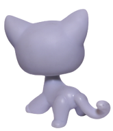 #0246 Shorthair Cat